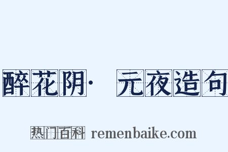 醉花阴·元夜造句是什么意思的图片